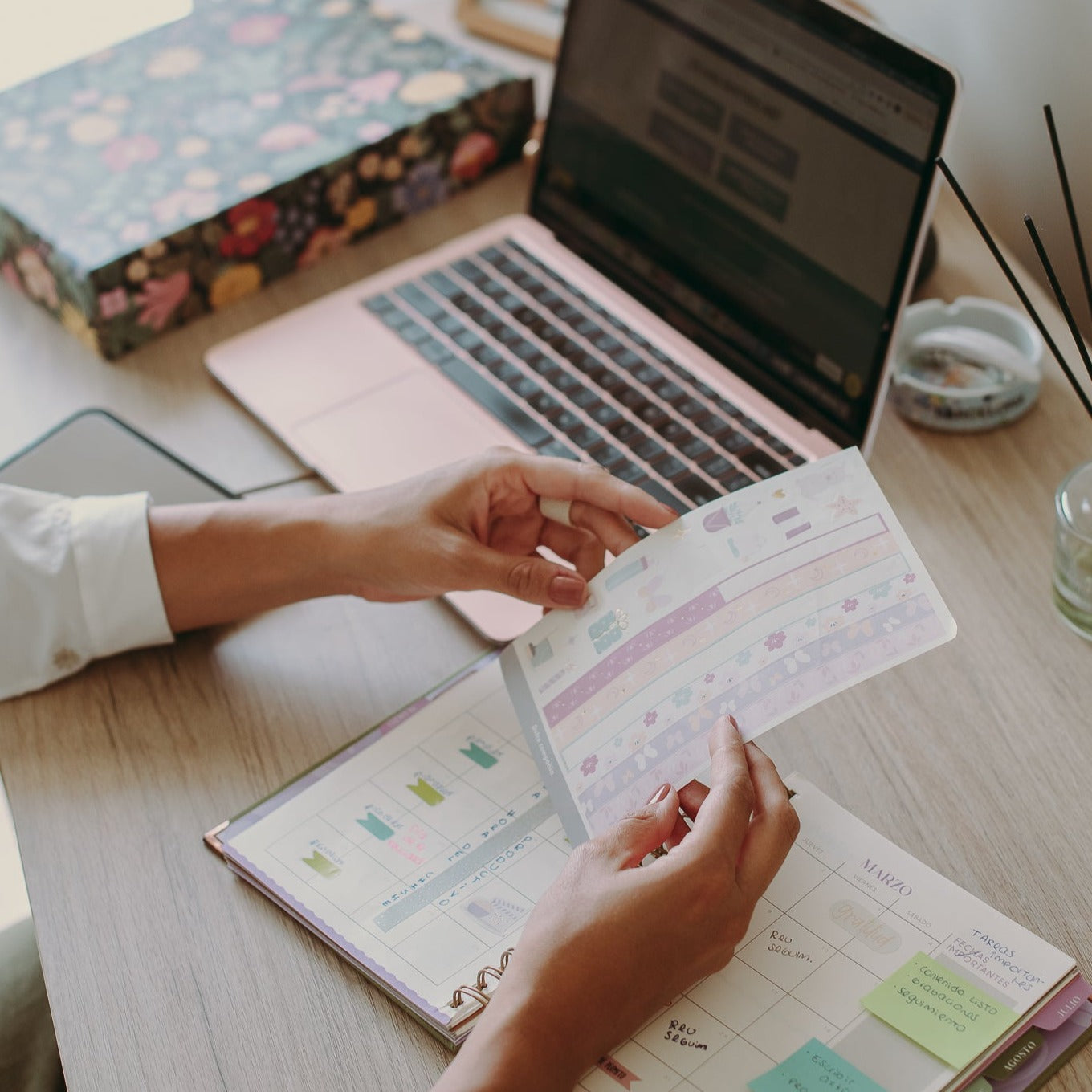 Kit de organización