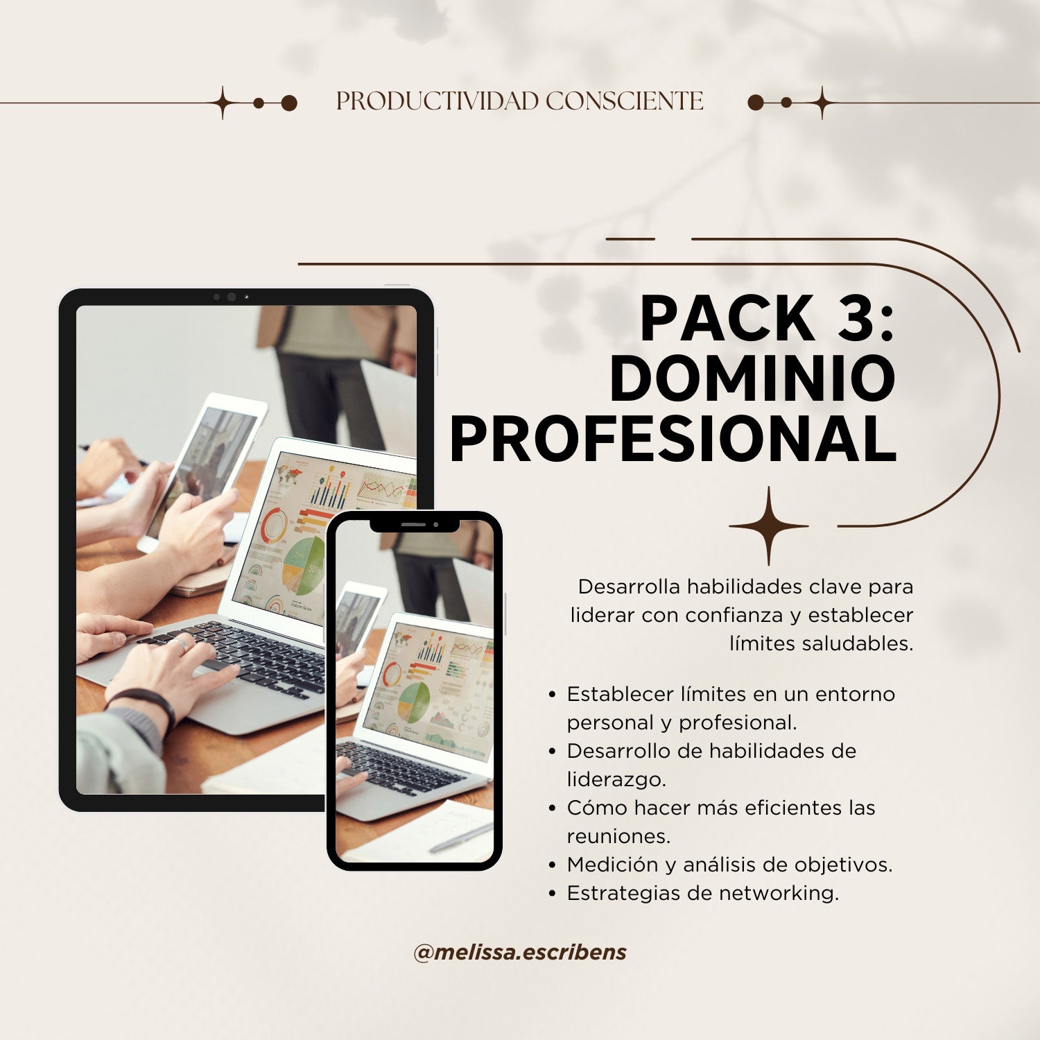 Pack 3 - Dominio Profesional: Lidera, organiza y establece límites